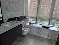 OUE Twin Peaks (D9), Condominium #567494081